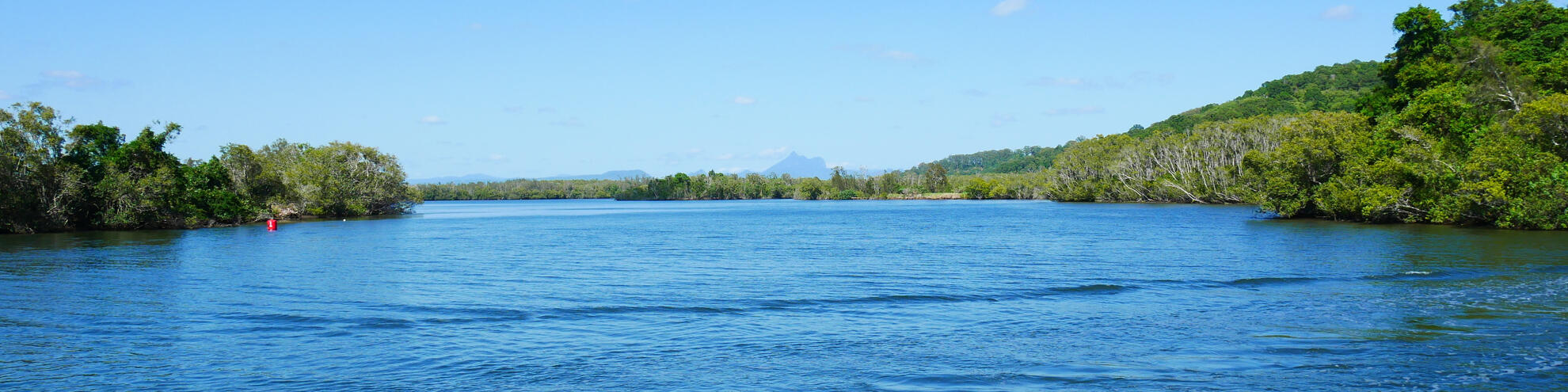 tweed river cruise to tumbulgum